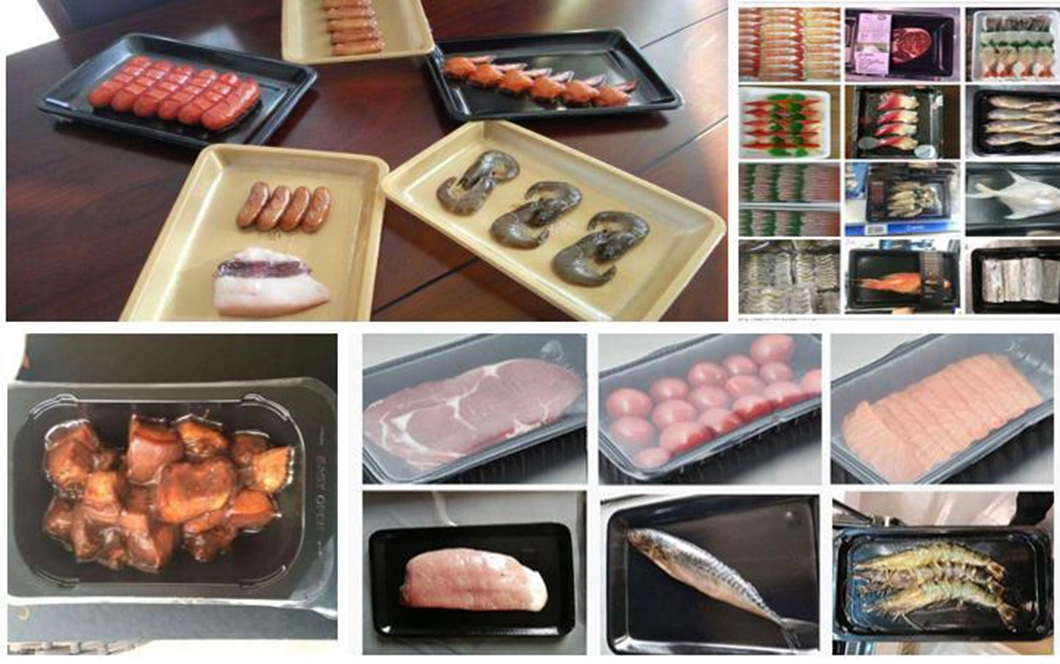 Desktop Vacuum Skin Packing Machine, Tabletop Meat & Seafood Vacuum Skin Packaging Machine, Vacuum Skin Tray Sealer